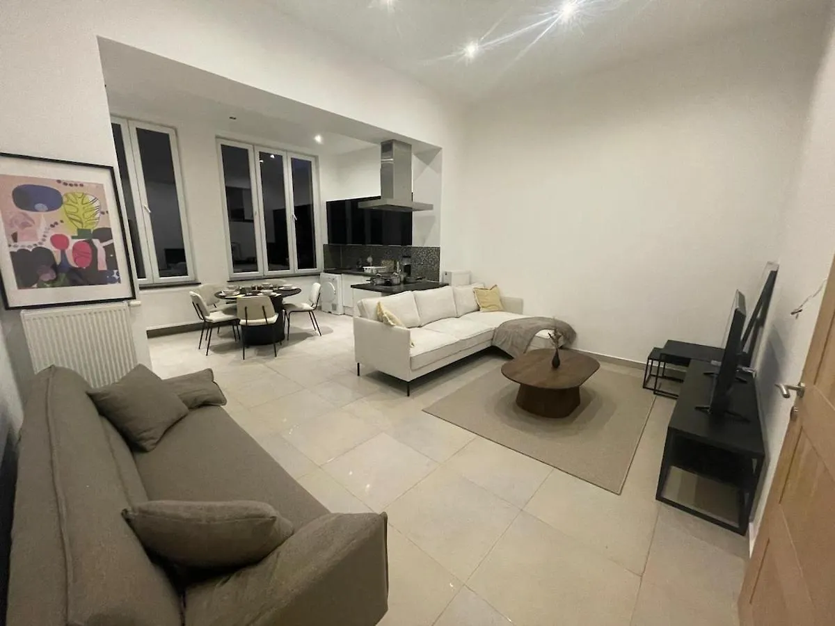 Cozy And Luxurious Apartment In Brussels, Laeken